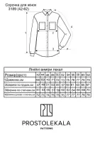 Pattern 3189 women's shirt