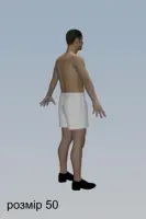 Pattern 208 men's underwear