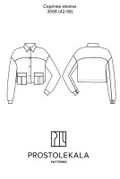 Pattern 3058 Women's Shirt